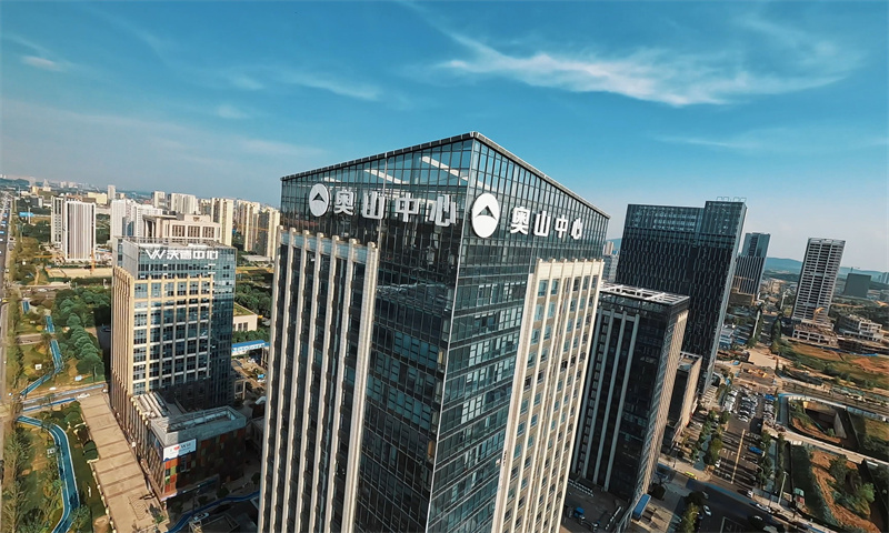 武汉市洪山区奥山中心举办商务交流活动，促进区域经济发展