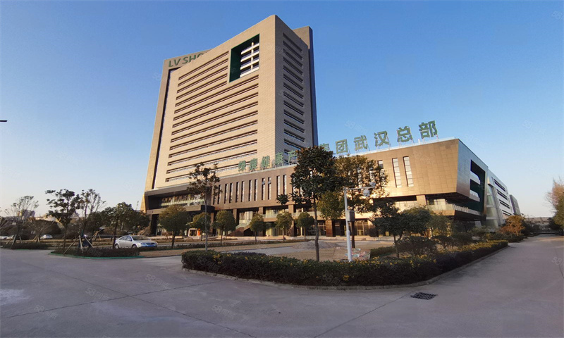 武汉武昌区绿地楚峰大厦盛大开幕，引领城市发展新篇章