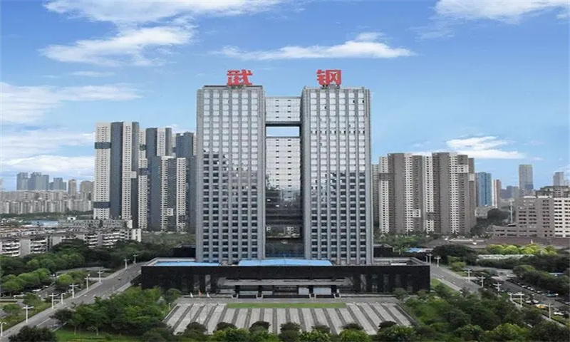 武钢大厦.webp.jpg