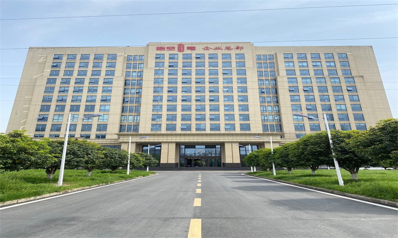 临空1号企业总部——武汉东西湖区商务发展的新引擎