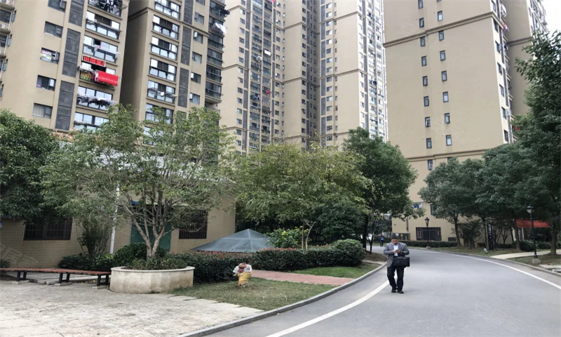 1724470982176773.jpg 汉口新城公园世家.jpg